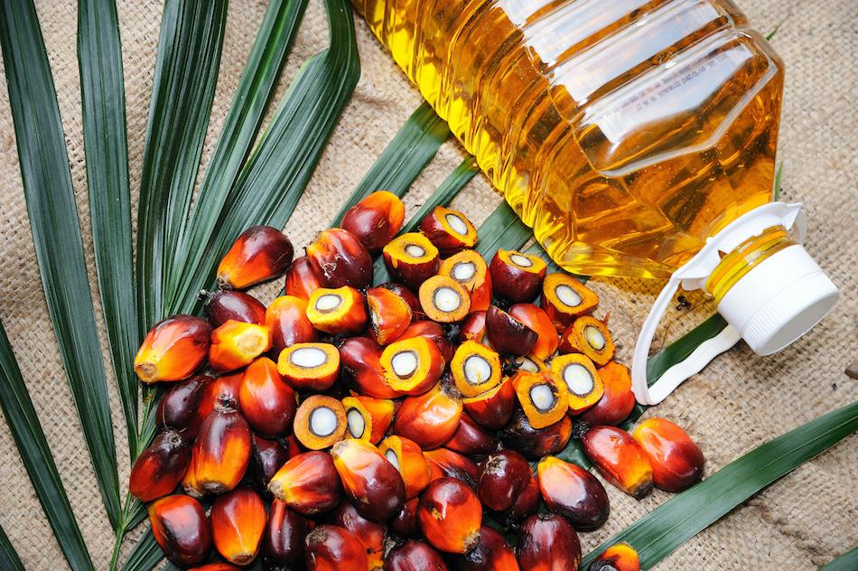 Palm oil and fruit