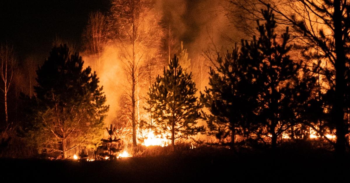 Are the Canadian Fires Beneath Administration? Right here is What to Know