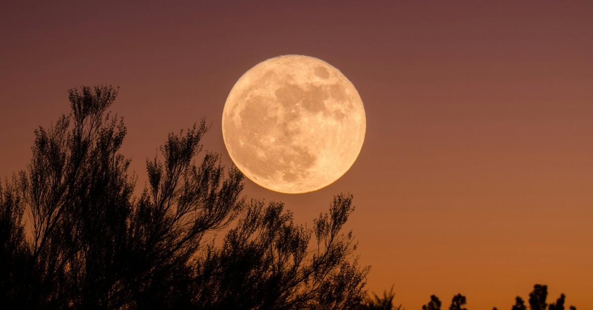 Why Is the Moon So Large Tonight?